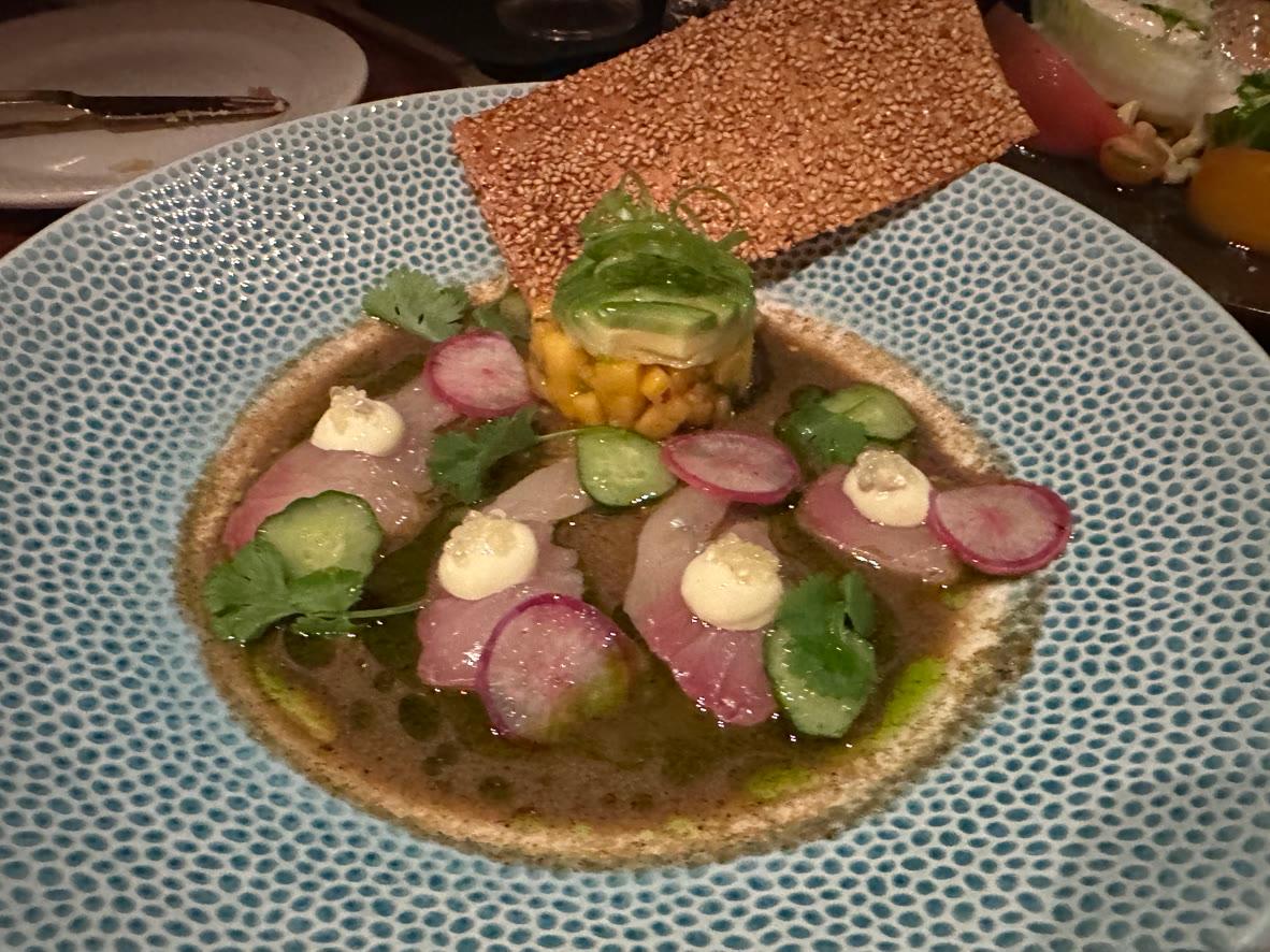 Hamachi crudo with cucumber, radish, avocado, corn, cilantro, and sesame crackers